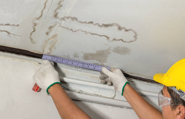 Reliable Structural Drying contractor in Silverwood, MI by Water Damage Irwin